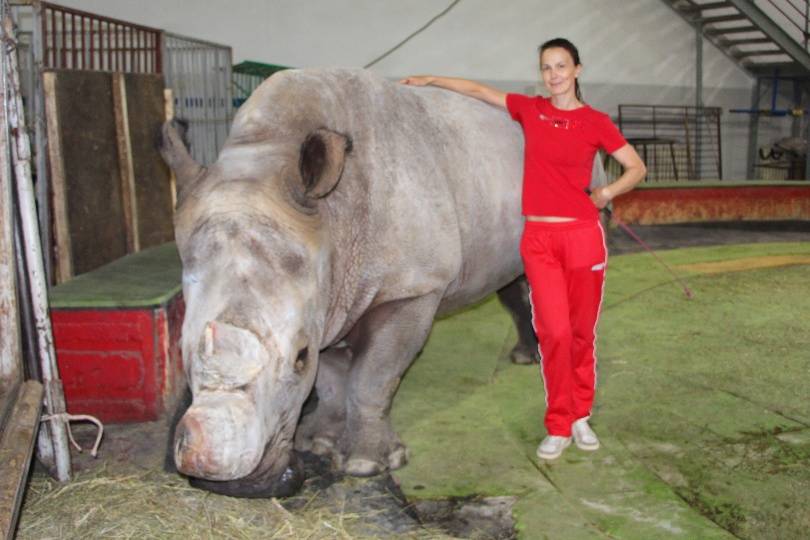 Дрессировщица Инна Забелкина