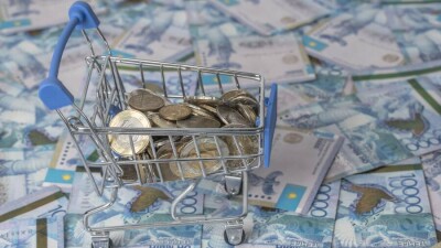 Депутаты распределили 37,2 млрд тенге из бюджета Алматы: часть суммы выделили на поддержку приютов для отловленных кошек