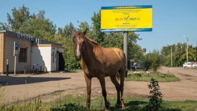 Кандидат от Nur Otan в акимы Ерейментау обещал избирателям "изменить свою жизнь к лучшему". Его конкурента сняли с выборов