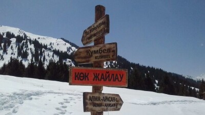 Начата процедура возврата урочища Кок-Жайляу в состав Иле-Алатауского нацпарка