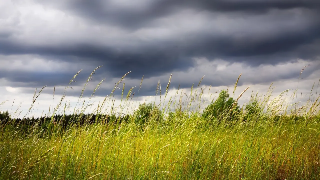 Фото Depositphotos.com