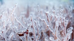 Прогноз погоды на 4 февраля: во многих регионах Казахстана ожидается туман