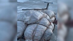 Полтонны выловленной незаконно рыбы изъяли полицейские в Атырауской области