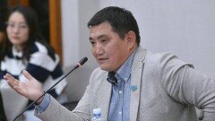 "Там целая мафия". Депутат Базарбек рассказал о случае выдачи субсидий на корову, которой якобы 108 лет