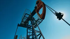 Мы крайне заинтересованы в долгосрочных поставках нефти из Казахстана – премьер-министр Чехии