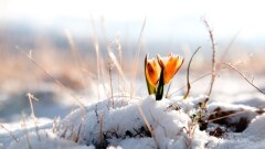 Прогноз погоды на 8 марта: в большинстве регионов ожидается сильный ветер