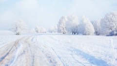 Полицейским пришлось сопровождать колонну из 200 автомобилей на трассе в Абайской области