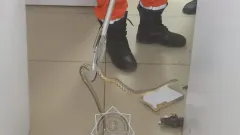 Змею поймали спасатели в торговом центре Тараза