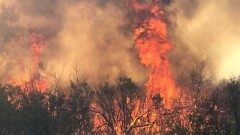 Сапарбаев заявил, что все повреждённые объекты в Жамбылской области восстановят в течение двух месяцев