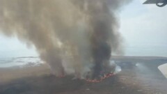 Крупный пожар в Павлодарской области: горит степь и сосновый лес