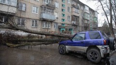 Последствия урагана в Алматы: упавшие деревья, залитые водой улицы