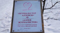 Деревья на аллее журналистов в "Атакенте" сломали из-за расположенной поблизости горки