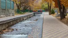 "Не видим критической ситуации". Будут ли закрывать кафе на терренкуре в Алматы