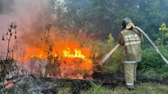 МЧС: Ситуация с лесными пожарами в Абайской области стабилизируется