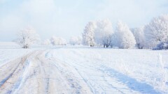 МВД обратилось к казахстанским водителям