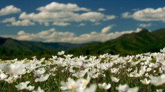 Какой будет погода в ближайшие дни в Казахстане, рассказали синоптики