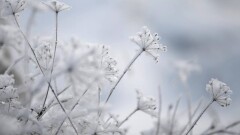 Прогноз погоды на 11 февраля: во многих регионах Казахстана ожидается значительное похолодание