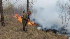 МЧС: Пожар в Риддере полностью ликвидирован