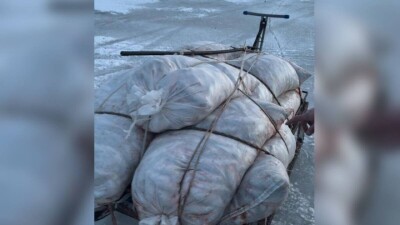 Полтонны выловленной незаконно рыбы изъяли полицейские в Атырауской области