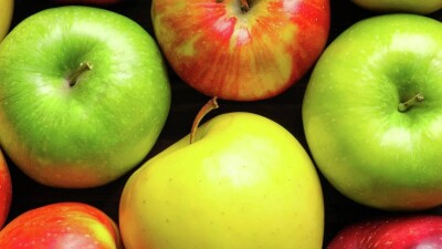 Парк первого президента в Алматы временно закрыли из-за подготовки к фестивалю яблок