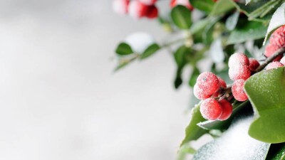 Какая погода будет на праздники в Нур-Султане и Алматы
