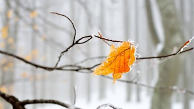 Понижение температуры на большей территории Казахстана прогнозируют синоптики