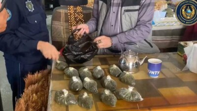 Более 45 кг наркотиков изъяли у продавца веников в Туркестанской области