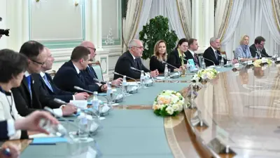 "Придерживаемся схожих подходов". О чём говорили Токаев и Карис на переговорах в расширенном составе