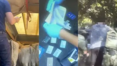 Ущерб на 9 млн тенге: подозреваемых в скотокрадстве задержали в Жетысуской области