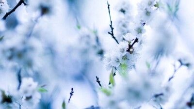 Потепление до +25 градусов прогнозируют на юге Казахстана в выходные