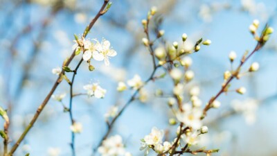 Прогноз погоды на 26 апреля: в большинстве регионов Казахстана продолжает теплеть