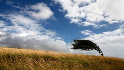 Прогноз погоды на 25 октября: в некоторых регионах ожидается сильный ветер