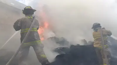 Частный самолёт упал в Мексике: все находившиеся на борту люди погибли