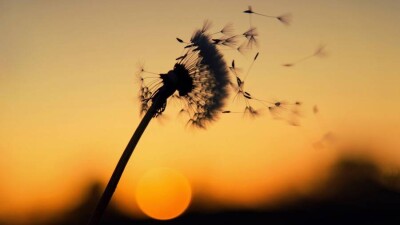 Прогноз погоды на 26 июля: в некоторых регионах ожидается сильный ветер