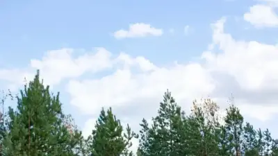 Похолодание прогнозируют в большинстве регионов Казахстана