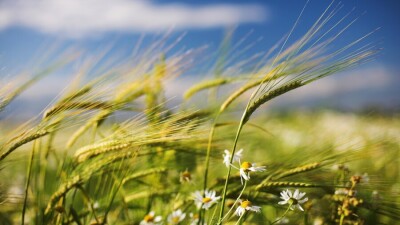 Прогноз погоды на 3 мая: во многих регионах ожидается ветер с порывами до 20 метров в секунду