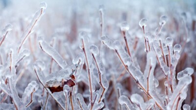Синоптики прогнозируют заморозки до -6 градусов в Казахстане