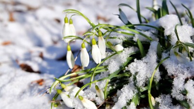 В Казгидромете рассказали, какой будет погода в праздничные дни