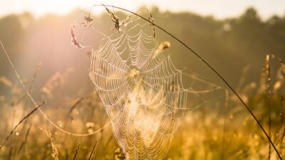 В Казгидромете рассказали, когда в Казахстан придёт бабье лето