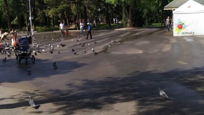 Погрузчик задавил трёхлетнего ребёнка в Парке 28 панфиловцев в Алматы