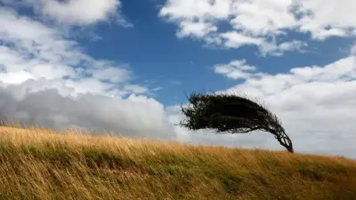 Прогноз погоды на 19 июля: в большинстве регионов Казахстана ожидается сильный ветер