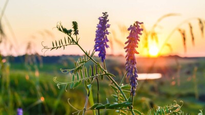 Понижение температуры ожидается на севере Казахстана