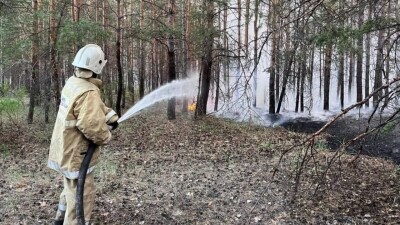 МЧС: Тушение пожара в Абайской области продолжается на трёх участках