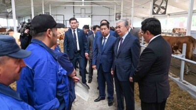 Токаев: Нам нужно полностью перейти на самообеспечение отечественной молочной продукцией