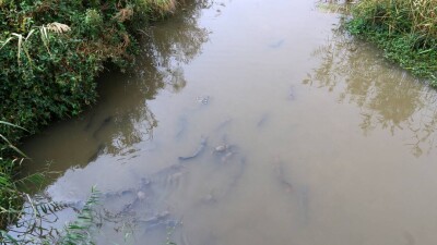 Трагедия в Туркестанской области: найдено тело последнего утонувшего ребёнка