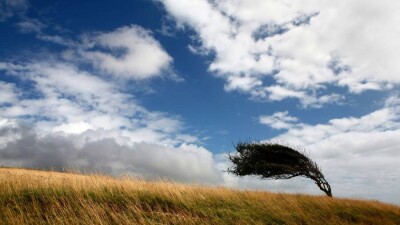 Прогноз погоды на 26 сентября: в некоторых регионах ожидается сильный ветер