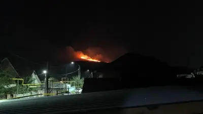 Пожар на горе Кенсай в Алматы: угрозы домам нет, заявили в МЧС