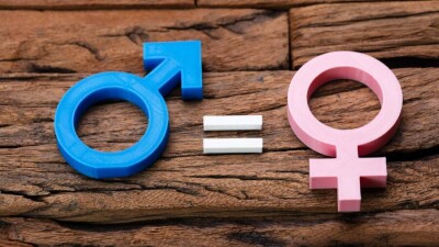 Стратегию достижения гендерного равенства утвердят в Кыргызстане