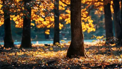 От жары до первых заморозков: какой будет погода в сентябре в Казахстане