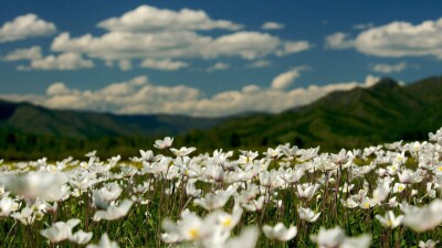Какой будет погода в ближайшие дни в Казахстане, рассказали синоптики